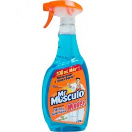 Limpia Vidrios Windex 750 Ml Con Atomizador