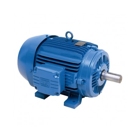 Motor Weg 3 Hp 1800 RPM 1F