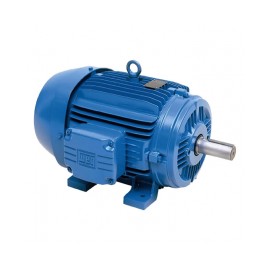 Motor Weg 2 HP 1800 RPM 1F 5/8