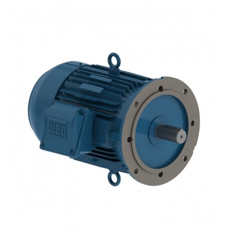 Motor Trifasico W22 NEMA Premium Efficiency 230/460 V Weg