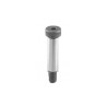 Tornillo Stripper 1/2 X 2-1/4 Danly 9-0818-56